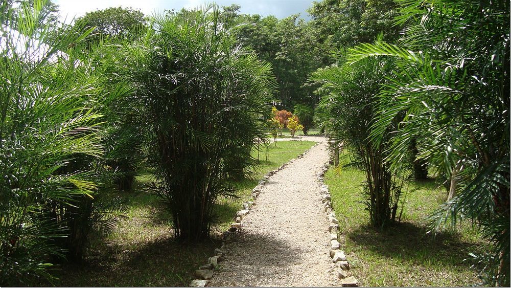 Maya Zac Peten Jungle Lodge El Remate Bagian luar foto