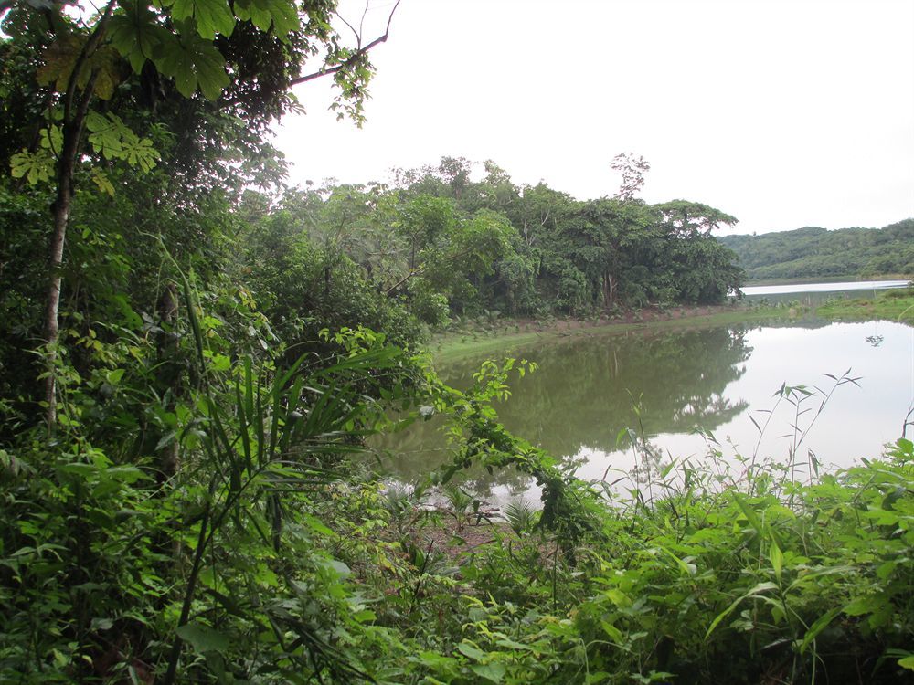 Maya Zac Peten Jungle Lodge El Remate Bagian luar foto